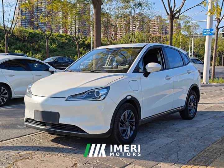 Neta V 2022 Trend 300 Lite Ternary Lithium - ავტომობილი ჩინეთიდან