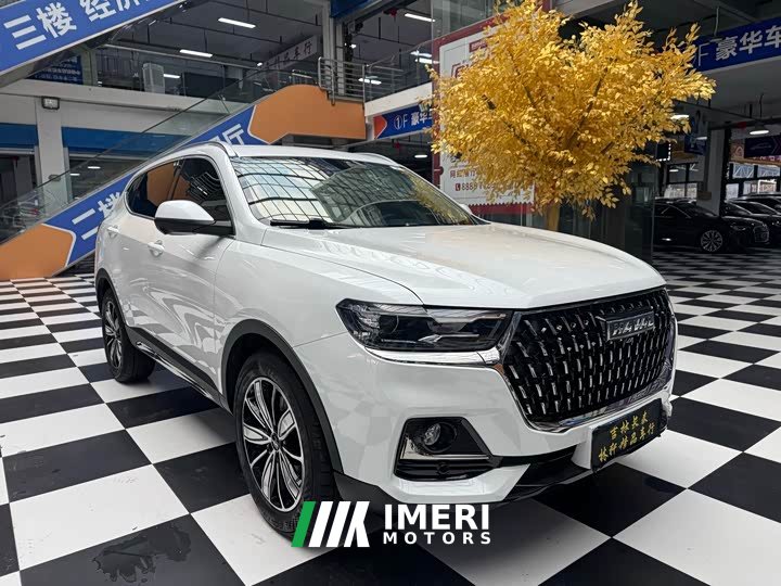 Haval H6 National Trend Edition 1.5T Automatic Champion Version - ავტომობილი ჩინეთიდან
