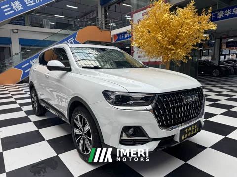 2023 Haval H6 National Trend Edition 1.5T Automatic Champion Version - car from China