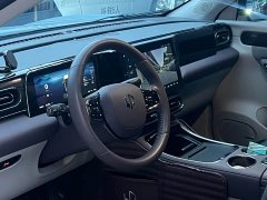 Leapmotor C11 2021 Facelift Luxury - ფოტო 6
