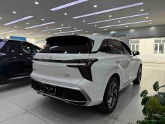 FAW Red Flag HS3 PHEV 125km Jingwei 2 Million Units Anniversary Edition - ფოტო 10