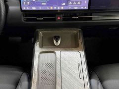 Great Wall WEY Shanshan New Energy Four-Wheel Drive Shanshan 8 - ფოტო 9