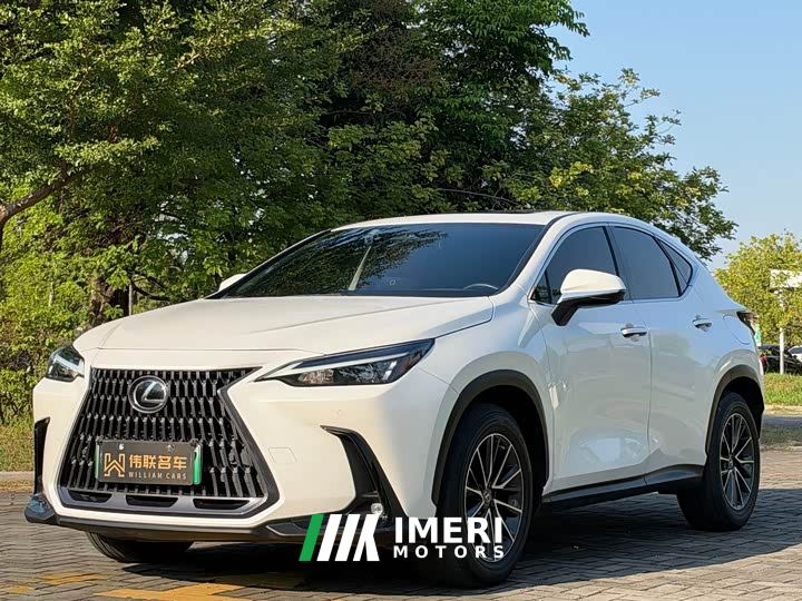 Lexus NX New Energy 400h Comfort Edition