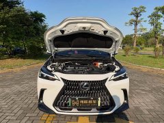Lexus NX New Energy 400h Comfort Edition - ფოტო 19