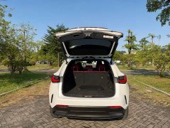 Lexus NX New Energy 400h Comfort Edition - ფოტო 20