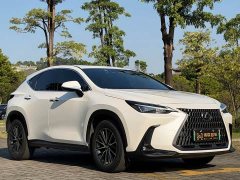 Lexus NX New Energy 400h Comfort Edition - ფოტო 3