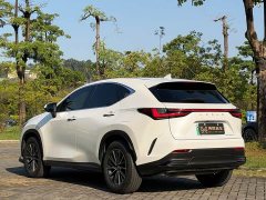 Lexus NX New Energy 400h Comfort Edition - ფოტო 4