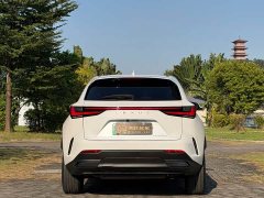 Lexus NX New Energy 400h Comfort Edition - ფოტო 5