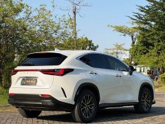 Lexus NX New Energy 400h Comfort Edition - ფოტო 6