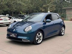 ORA Good Cat 401km Standard Range Deluxe LFP - ფოტო 1