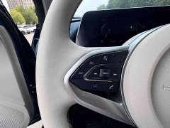 ORA Good Cat 401km Standard Range Deluxe LFP - ფოტო 11