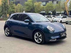 ORA Good Cat 401km Standard Range Deluxe LFP - ფოტო 3