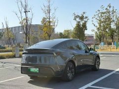 Tesla Model Y Rear-Wheel Drive - ფოტო 9