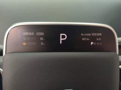 Li Auto L6 Pro - ფოტო 14
