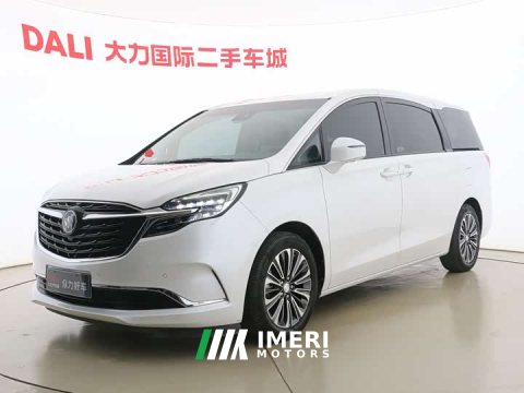 2021 Buick GL8 ES Land Respect 653T Luxury - ავტომობილი ჩინეთიდან