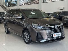 Buick GL8 Land Executive Cabin 652T Luxury - ფოტო 3