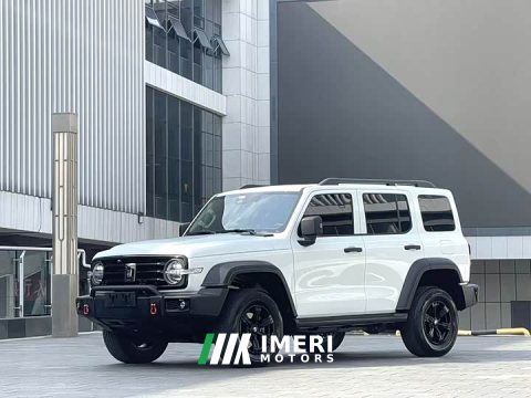 2025 Tank 300 2026 2.0T Gasoline Challenger - ავტომობილი ჩინეთიდან