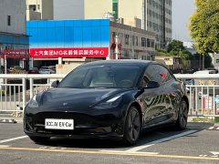 Tesla Model 3 Rear-Wheel Drive - ფოტო 1
