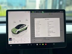 Tesla Model 3 Rear-Wheel Drive - ფოტო 11