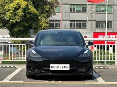 Tesla Model 3 Rear-Wheel Drive - ფოტო 2