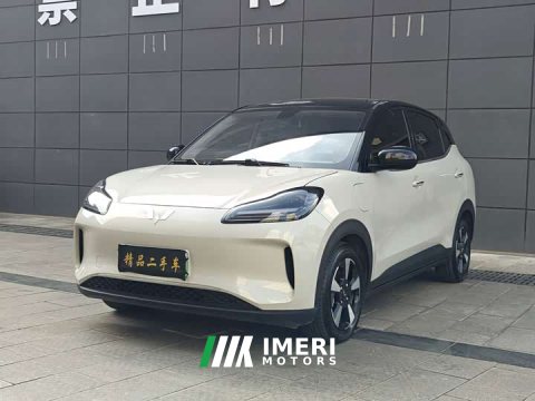 2024 Wuling Binguo PLUS 401km 5-Seater - ავტომობილი ჩინეთიდან