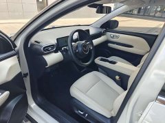 Wuling Binguo PLUS 401km 5-Seater - ფოტო 3