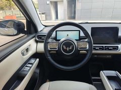 Wuling Binguo PLUS 401km 5-Seater - ფოტო 6