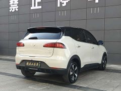 Wuling Binguo PLUS 401km 5-Seater - ფოტო 9