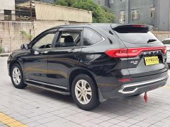 Haval M6 PLUS 1.5T DCT Elite Smart Connected Edition - ფოტო 15