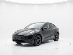 Tesla Model Y Rear-Wheel Drive - ფოტო 1
