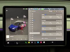 Tesla Model Y Rear-Wheel Drive - ფოტო 12