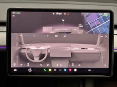 Tesla Model Y Rear-Wheel Drive - ფოტო 14
