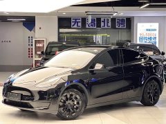Tesla Model Y Rear-Wheel Drive - ფოტო 2