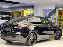 Tesla Model Y Rear-Wheel Drive - ფოტო 4