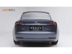 Tesla Model 3 Standard Range RWD Upgrade - ფოტო 4