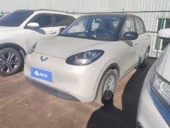 Wuling Binguo 203km Light Enjoy Edition - ფოტო 1