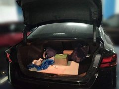 Nissan Teana 2.0L XL Comfort - ფოტო 20