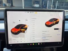 Tesla Model Y Rear-Wheel Drive - ფოტო 9