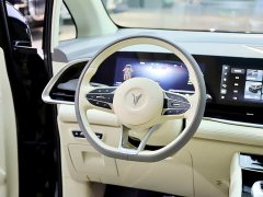 Voyah Avatr Dream Car 2022 Low Carbon Edition Dream Smart Enjoyment Package - ფოტო 16