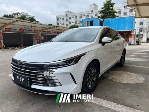 2023 BYD Destroyer 05 Champion Edition DM-i 120KM Premium Type - ავტომობილი ჩინეთიდან