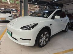 Tesla Model Y Rear-Wheel Drive - ფოტო 1