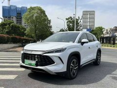 BYD Song L DM-i 112km Transcendence - ფოტო 1