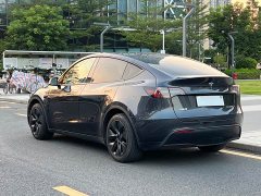 Tesla Model Y Rear-Wheel Drive - ფოტო 12