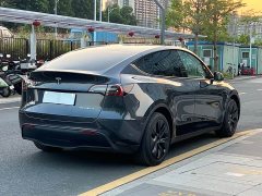 Tesla Model Y Rear-Wheel Drive - ფოტო 14