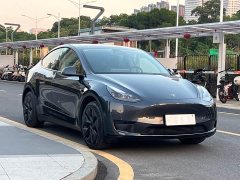 Tesla Model Y Rear-Wheel Drive - ფოტო 3
