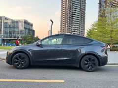Tesla Model Y Rear-Wheel Drive - ფოტო 4