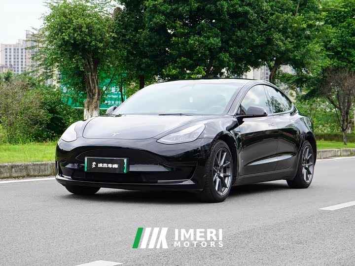 Tesla Model 3 Rear-Wheel Drive