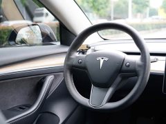 Tesla Model 3 Rear-Wheel Drive - ფოტო 6