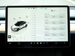 Tesla Model 3 Rear-Wheel Drive - ფოტო 7