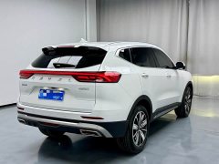 Haval H6 National Trend Edition 1.5T Automatic Champion Version - ფოტო 16